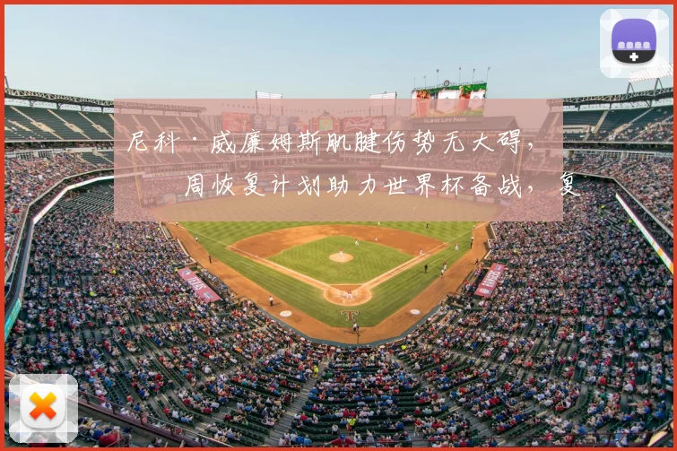 尼科·威廉姆斯肌腱伤势无大碍，三周恢复计划助力世界杯备战，复出时间表详解